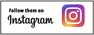 follow them on instagram